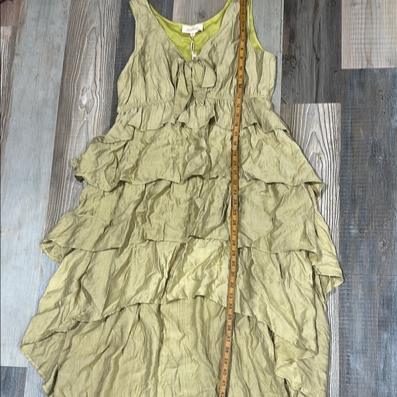 Listicle Ruffled dress - Picture 6 of 6